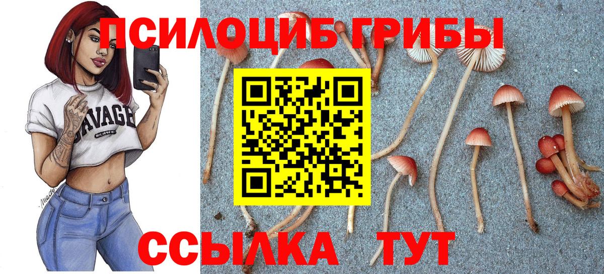 Луга  Псилоцибиновые грибы мухоморы  Вход с VPN 